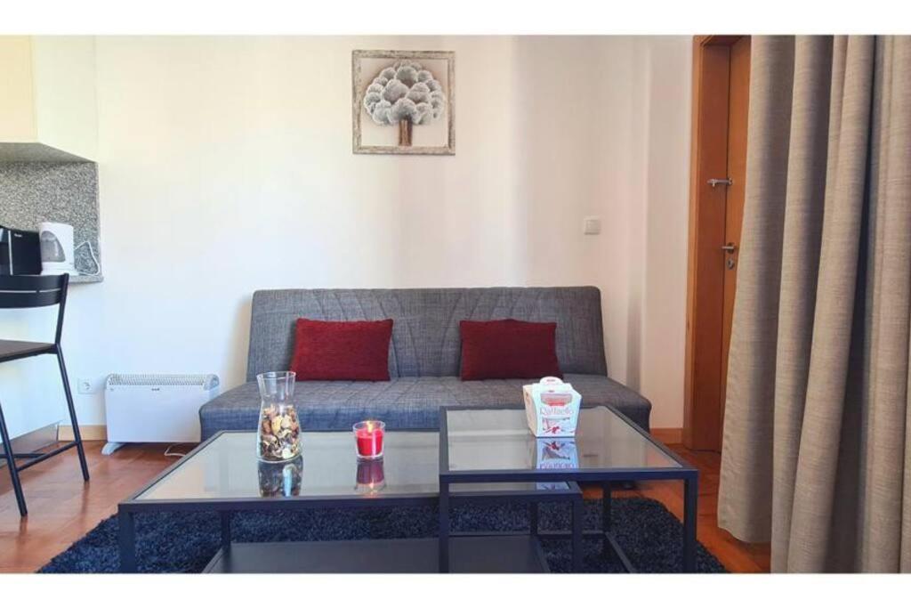 Bolhao Elegance Apartaments 波尔图 外观 照片
